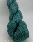 Misti Alpaca Pima Silk Tonals