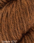 Fleece Bluefaced Leicester DK