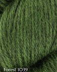 Fleece Bluefaced Leicester DK