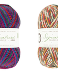 WYS Signature 4Ply Collection