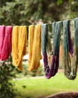 Kids Fiber Camp