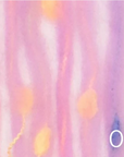 Coloria Dots
