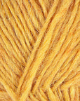 Mimosa 1703