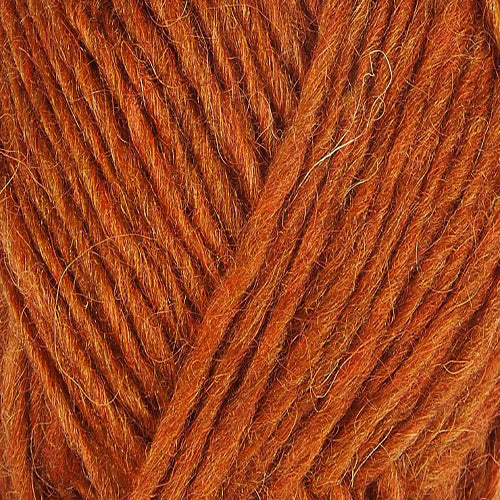 Apricot 1704