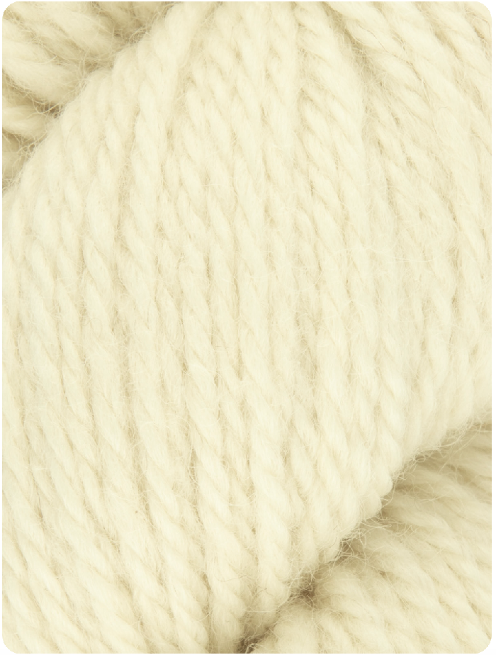 WYS BFL Aran Naturals