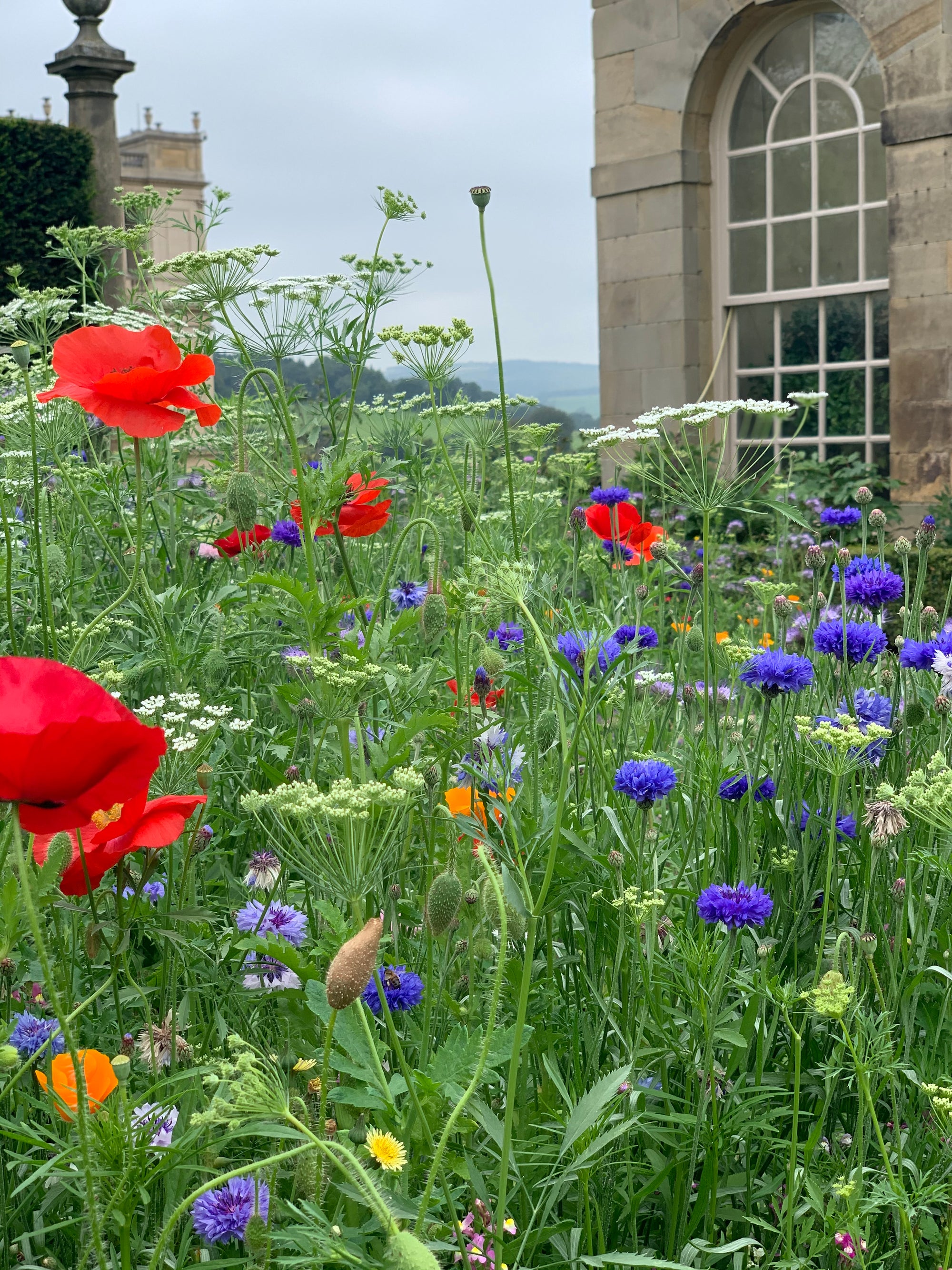 Chatsworth House