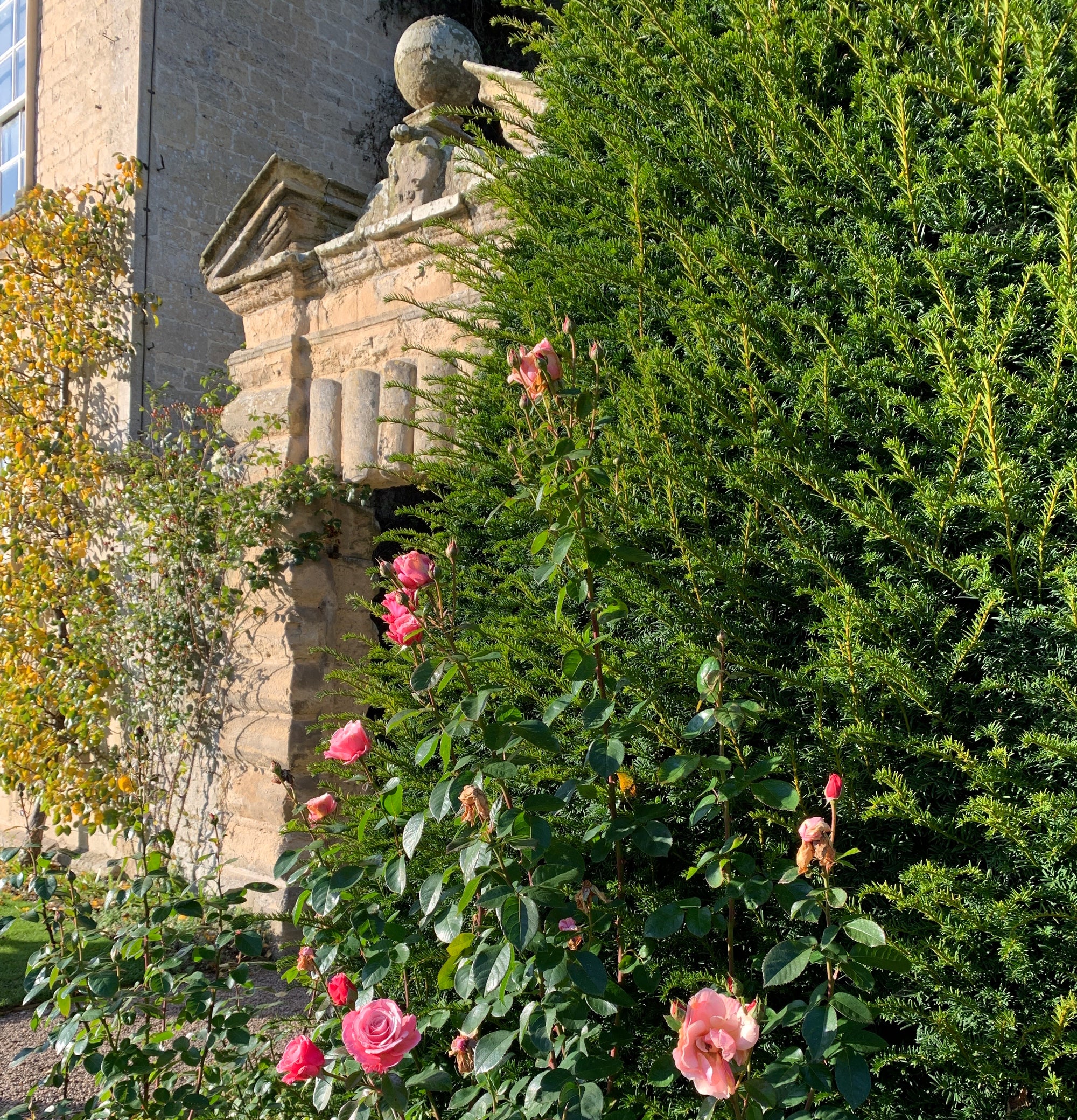 Autumn Eye Candy from the UK