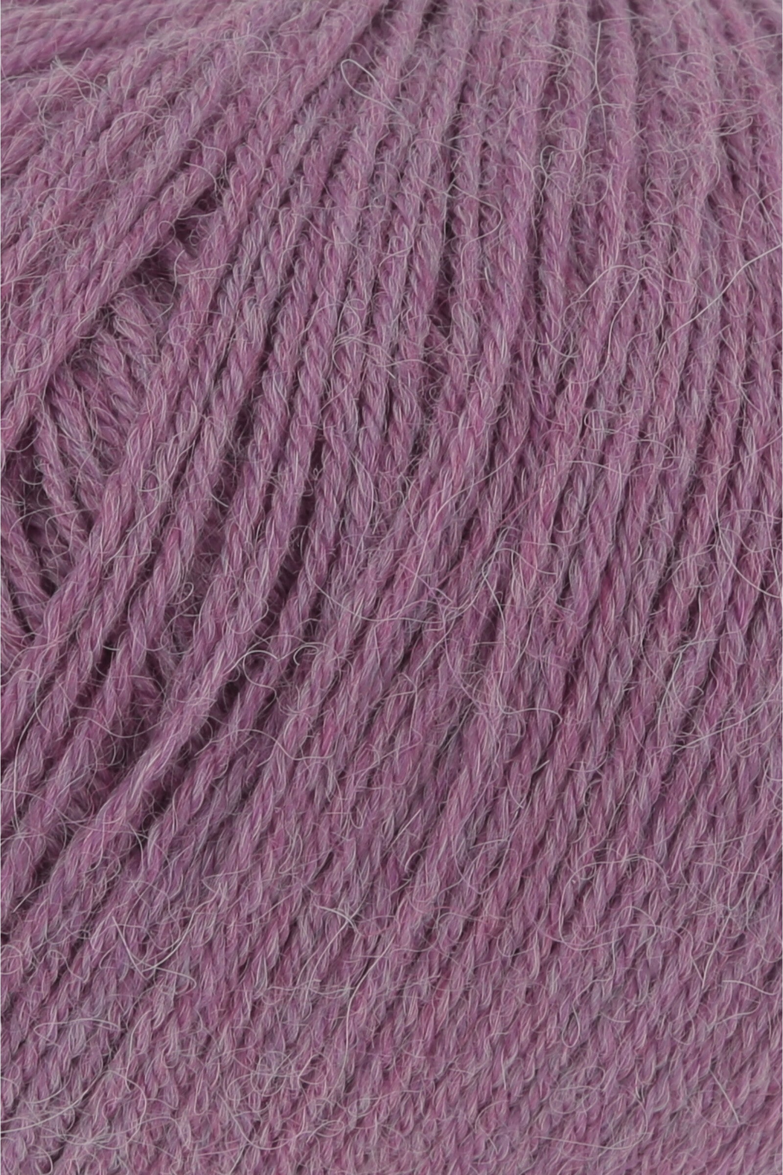 Lang Alpaca Soxx