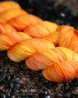 Poison Threads 2026