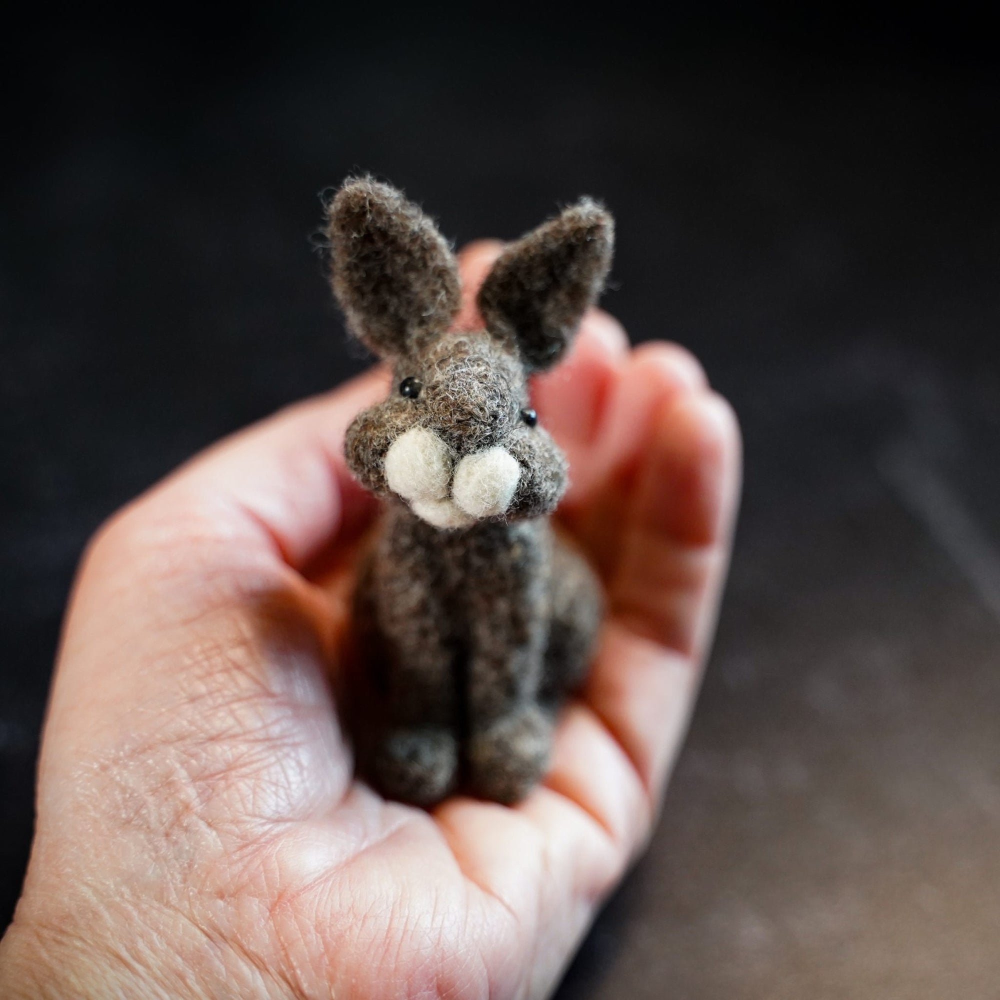 Bear Creek Felting Kits