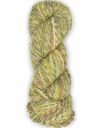 Araucania Jaspeada