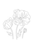 Trailhead Embroidery Un-Kit