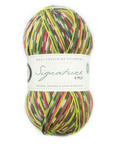 WYS Signature 4Ply