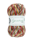WYS Signature 4Ply