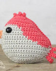 Redbird Crochet Kit