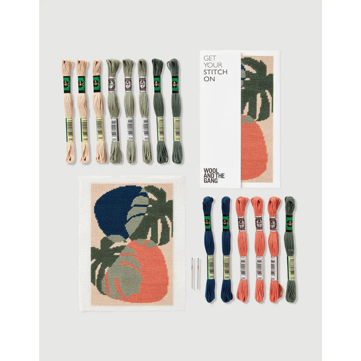 DMC Needlepoint Botanical Kit