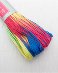 101-Thick Skein Rainbow