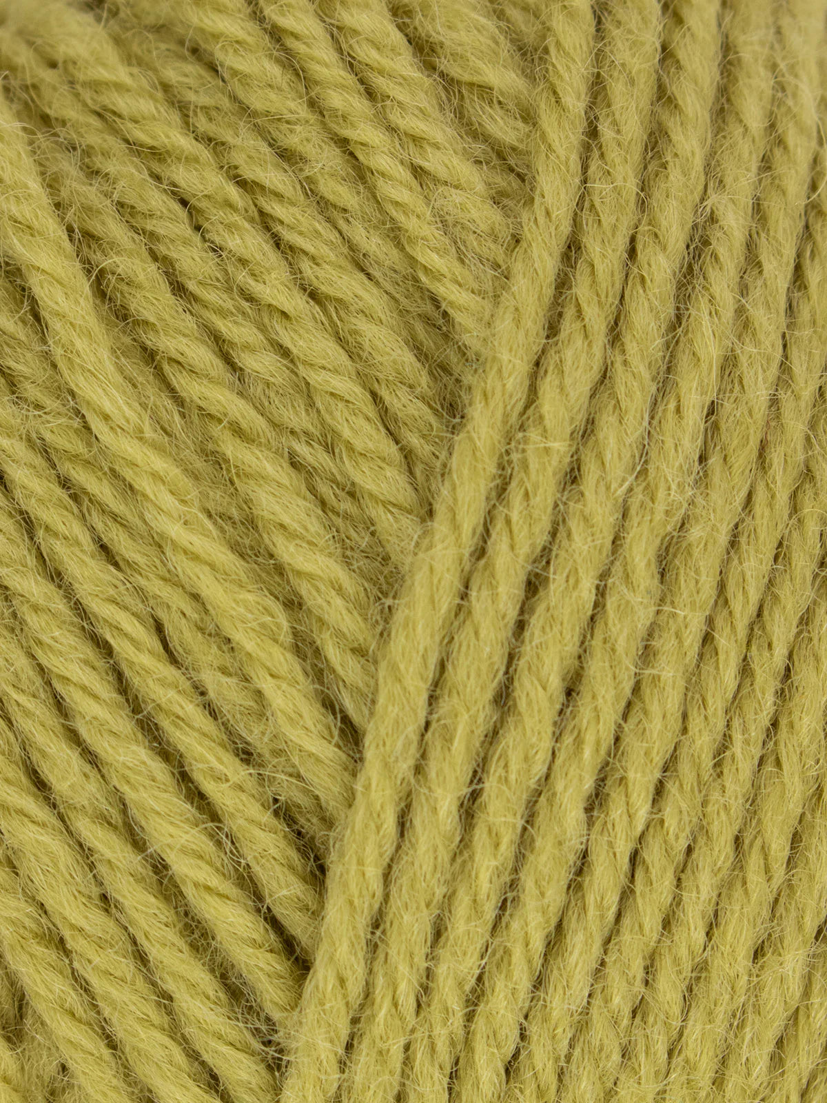 WYS Morris DK