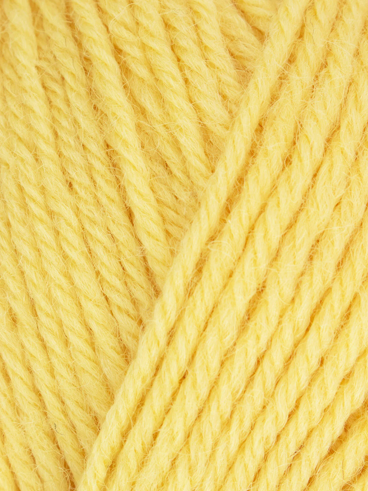 WYS Morris DK