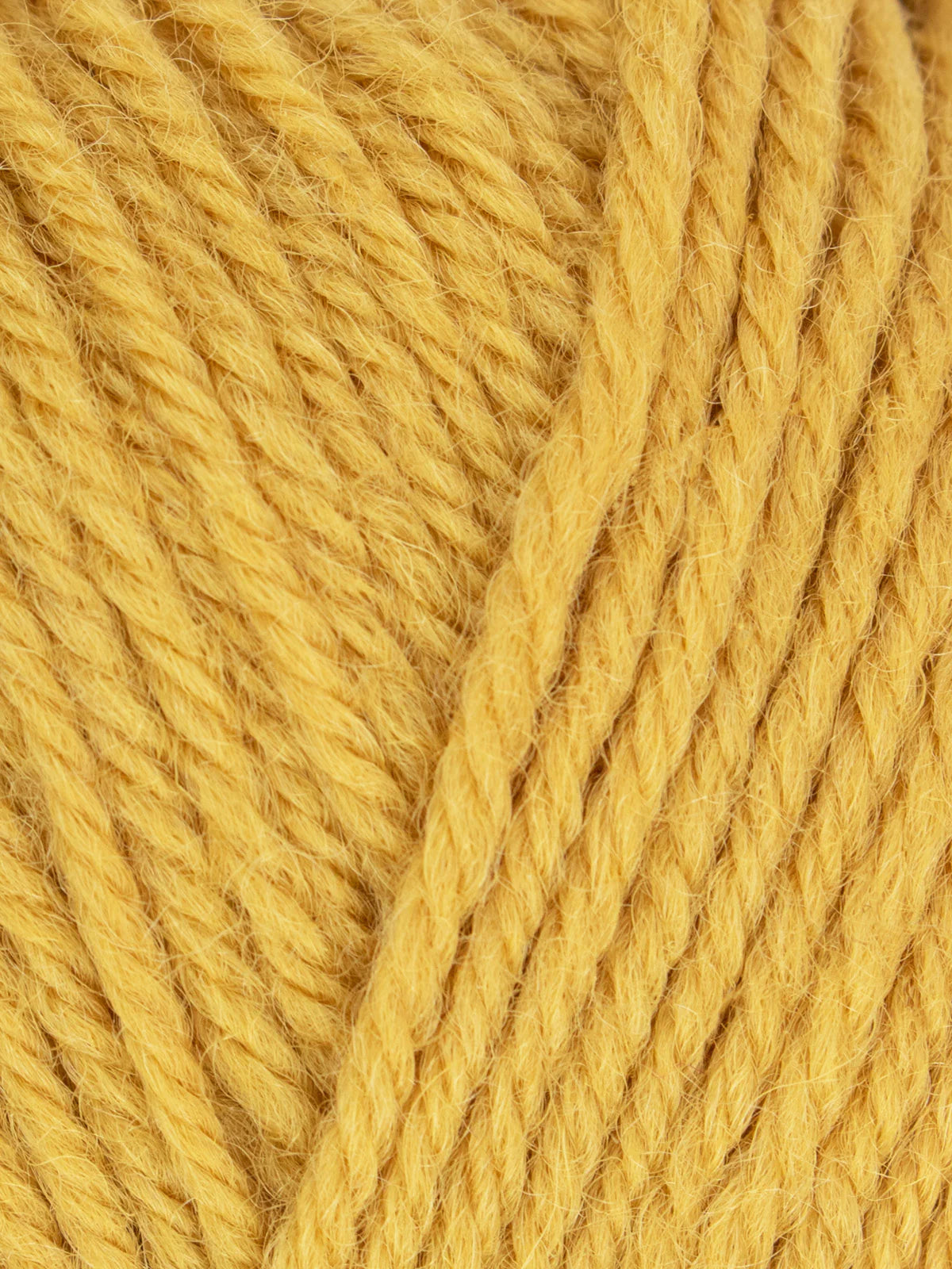 WYS Morris DK