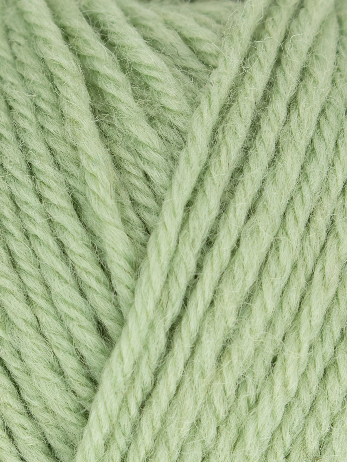 WYS Morris DK