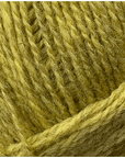 4137 Lemon Heather